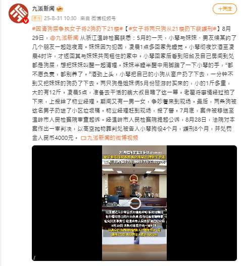 女子酒後情緒失控，承認明知高空拋物危險仍未克制行為。（圖／翻攝自微博， 九派新聞i）