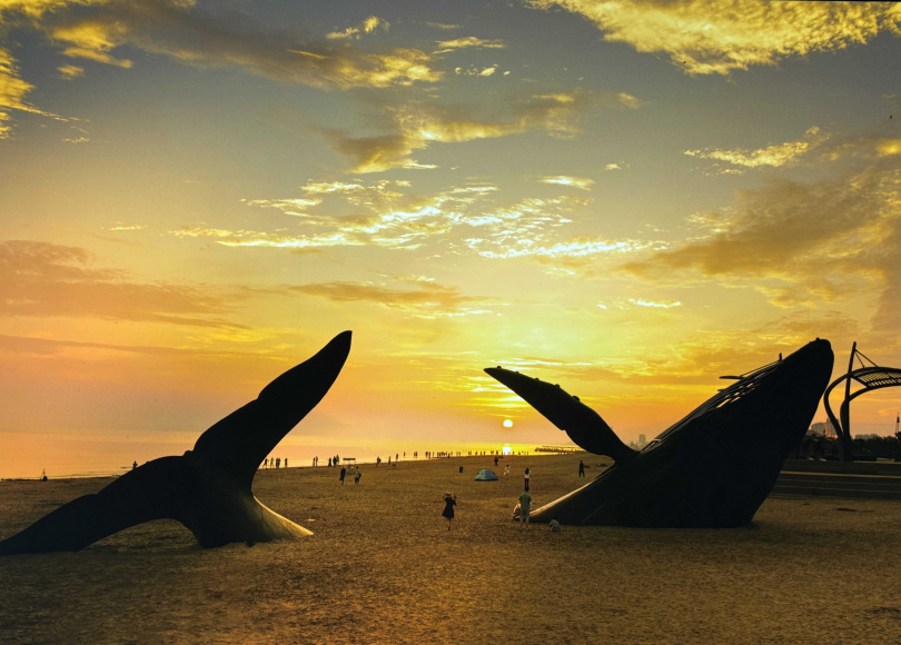 坐落於金沙灘海濱公園的藝術作品《孤獨的鯨》，是煙台最紅的打卡景點。（圖╱王若翻攝）