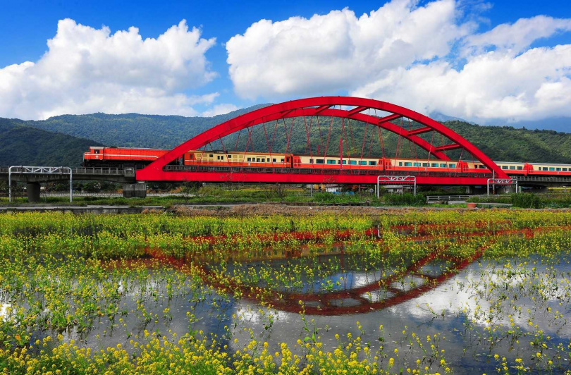 赤柯山下緊鄰的玉里紅橋，油菜花與自強號列車爭輝。（圖／吳德亮攝影）