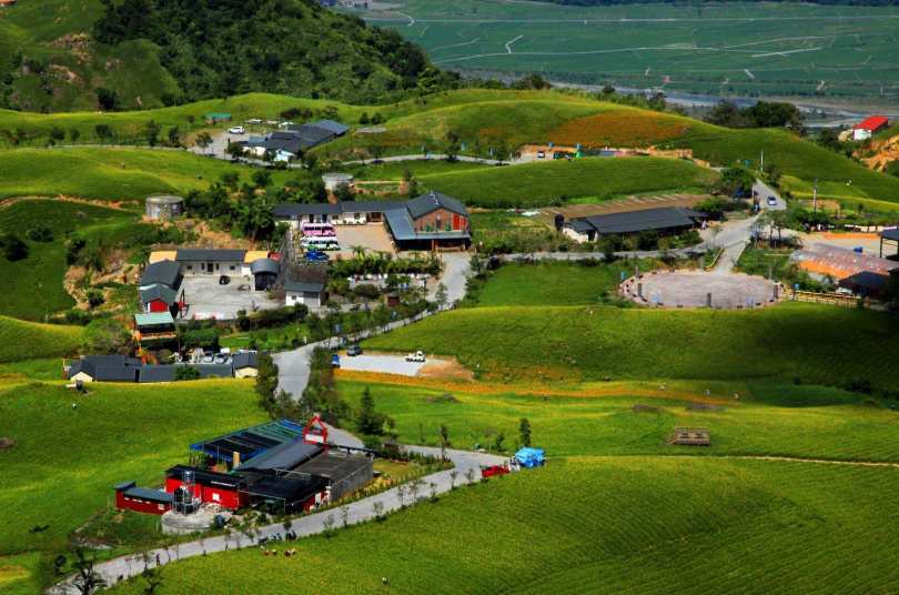 六十石山金針未開花時暖融融綠色地毯般的歐洲風情一樣令人沈醉。（圖／吳德亮攝影）