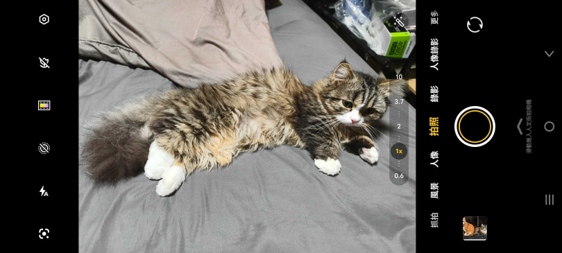 （圖／廖梓翔攝）