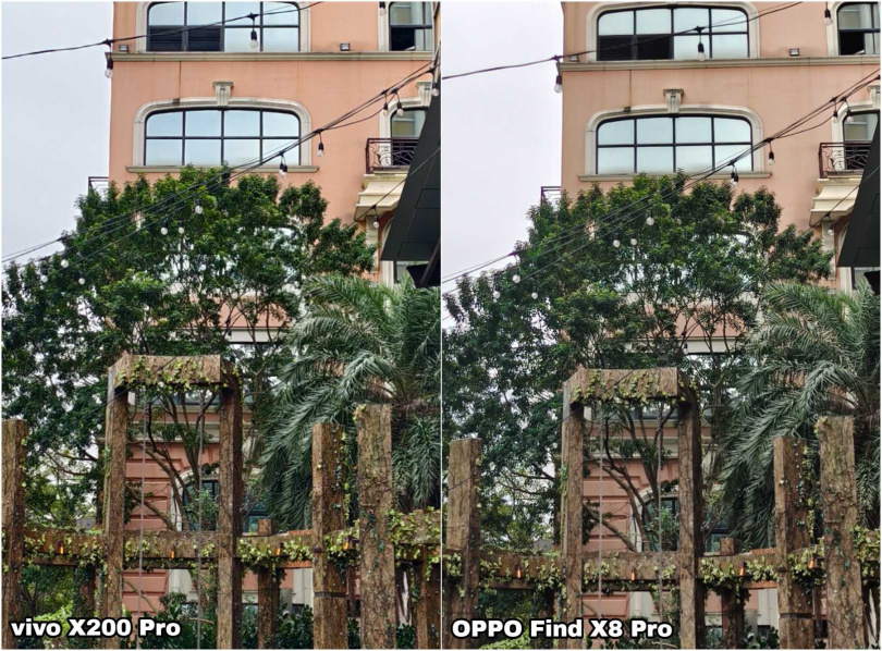 照片放大比較。