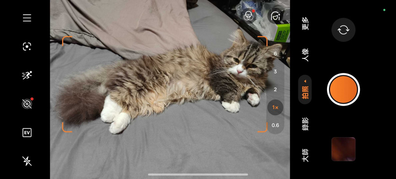 （圖／廖梓翔攝）