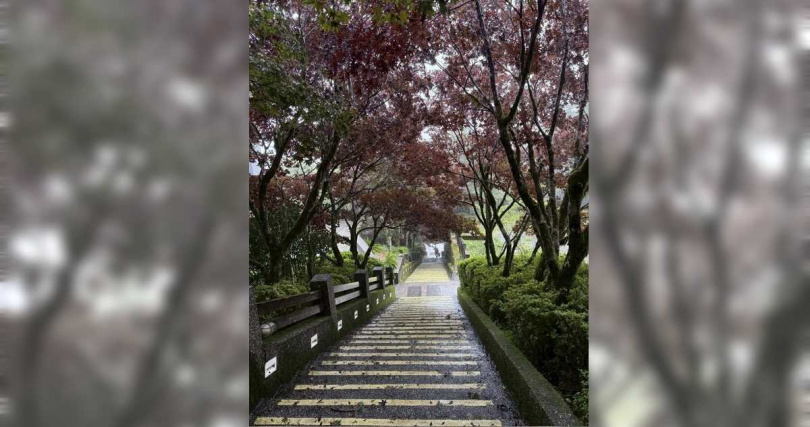 楊柳颱風來襲，太平山國家森林遊樂區12日中午後預警性休園。（圖／中國時報記者吳佩蓉攝）