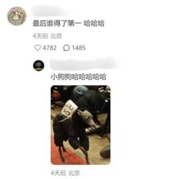 穿著黑色羽絨服的小狗獲得高票數，成為活動焦點之一。