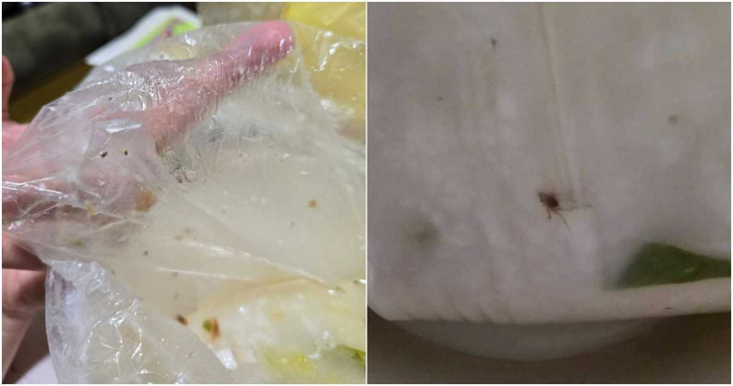 整碗虱目魚粥滿滿都是蟲。（圖／擷取自Facebook／爆料公社）