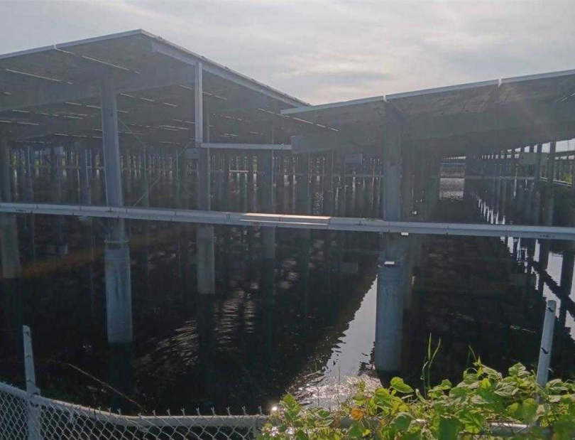 太陽能案場變成臭水池的狀況，在口湖鄉已經成為常態。（圖／口湖鄉公所）