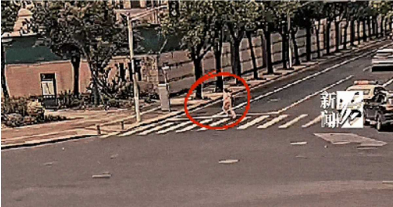 女子一度誤會警方與司機多管閒事，甚至試圖逃離現場。（圖／翻攝自新聞坊）