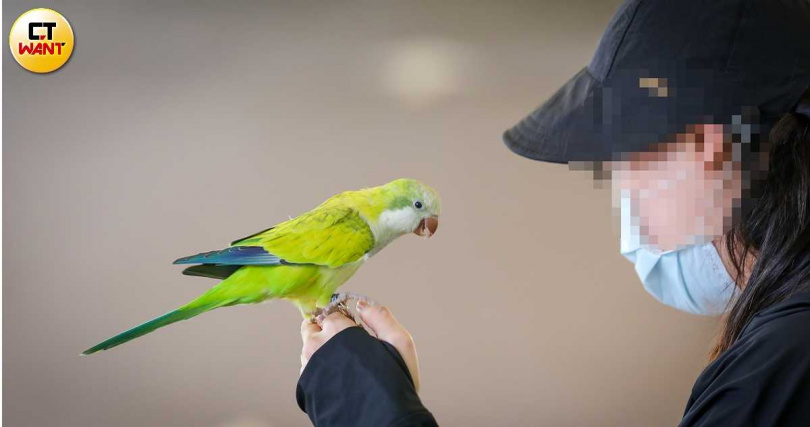 寵物是人類的好夥伴,牠們能否受到妥善照料,一旦走失或被遺棄,能不能被社會安全網接住,都是人們重要的課題。(圖/劉耿豪攝)