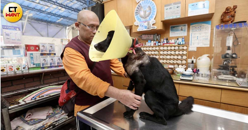 長期穿梭雙北山區救援受傷「浪浪」的「愛爸」楊成宗(左)怒批,動保主管機關抓不到放「山豬吊」的不肖獵人,卻老想開罰手無寸鐵的善心餵食者,根本搞錯重點。(圖/方萬民攝)