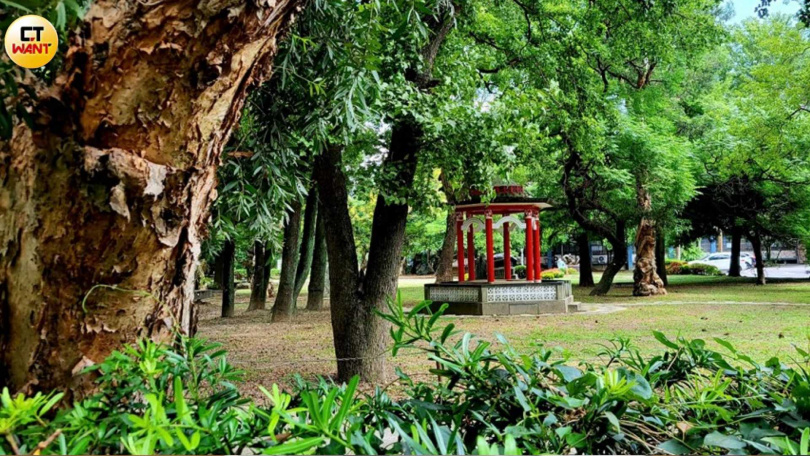 一座宛如公園般的高校內竟有多名教練遭移送市調處，讓綠意盎然的校園蒙塵，苦主直言更令人不寒而慄地是「還有好多這種案例」。（圖／周志龍攝）