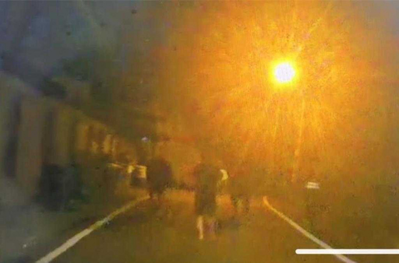 桃園市龜山區忠義路二段3日深夜有牛隻出沒，警方獲報後趕緊通知飼主，並派遣警力趕赴現場，協助將牛隻趕回，確保道路恢復正常通行。警方表示，飼主違反《道路交通管理處罰條例》第84條，將依規定製單舉發。（圖／翻攝照片）