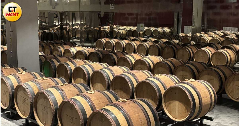 逃牛嶺酒莊由一群年輕釀酒師主導,釀酒理念較具實驗性,不使用系統性農藥與除草劑,酒液也未經過濾,賦予酒體更多自然的風味。(圖╱王若攝)