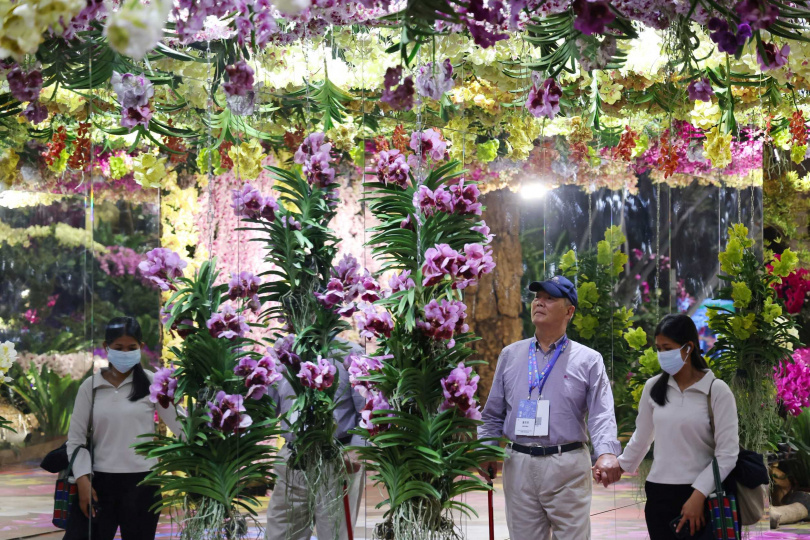 「邂逅・熱帶共生」展區，策展團隊成功建構沉浸式的「蘭花密道」。（圖／臺南市政府提供）