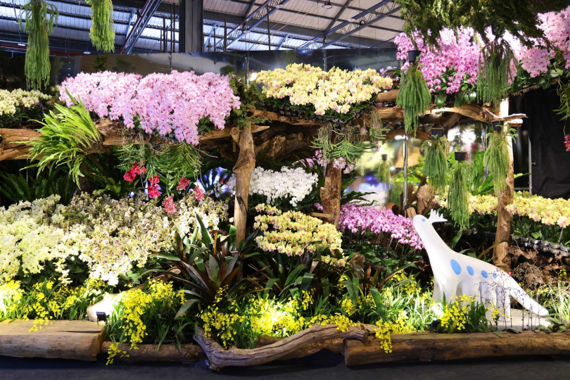 透過藝術與設計重新定義「創作」與「共存」的關係。（圖／臺南市政府提供）