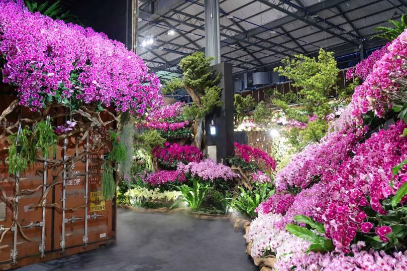 「變異花域」展示了臺灣蘭花作為文化媒介的無限可能，其中最受矚目的便是以實體蘭花結合噴墨藝術重現「莫內世界名畫」。（圖／臺南市政府提供）