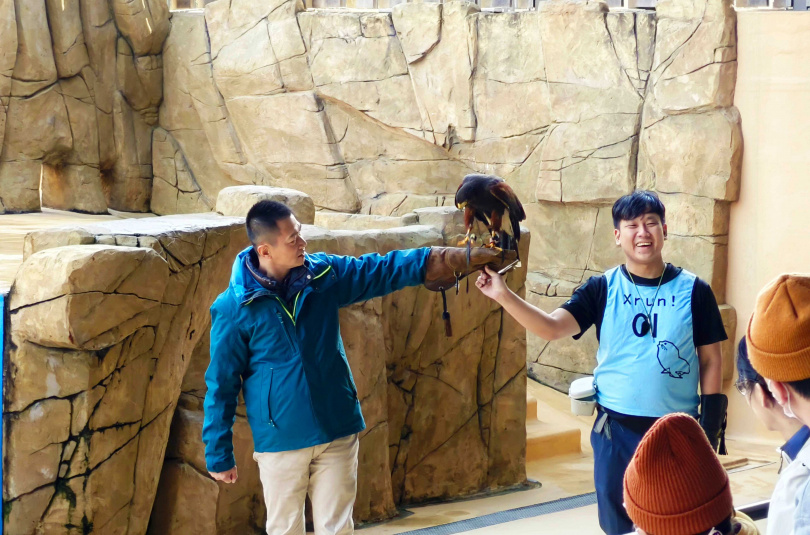 經過訓練的猛禽栗翅鷹和現場民眾同歡。(圖/魏妤靜攝)