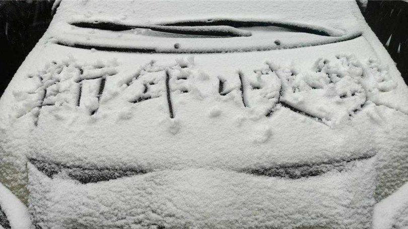 宜蘭縣太平山國家森林遊樂區27日氣溫降到0度，清晨5時開始下起冰霰，整片山形成一片雪白世界。（圖／林業及自然保育署宜蘭分署提供／中國時報吳佩蓉宜蘭傳真）