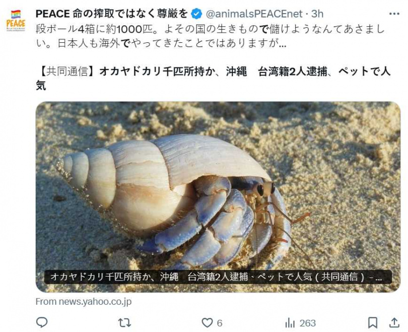 日本沖繩縣宮古島警察署3月31日逮捕了兩名台灣男子，原來兩人疑似持有998隻被日本列為「國家天然紀念物」的陸寄居蟹，兩人依涉嫌違反「文化財保護法」被逮。（圖／翻攝自X）