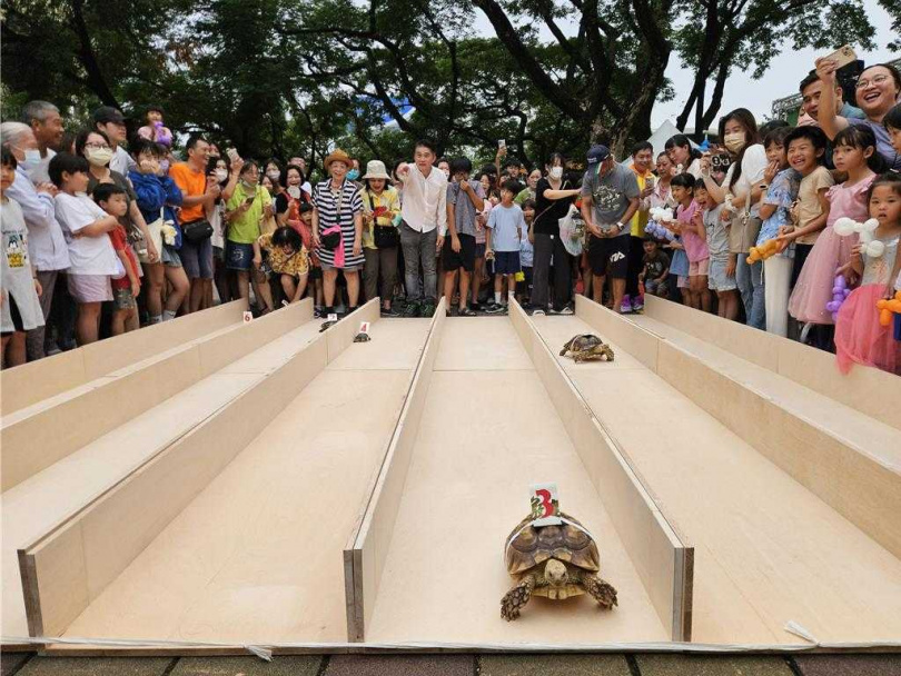屏東縣議員李世斌(中著白衣者)舉辦龜兔賽跑,競爭非常激烈,現場歡呼、加油聲不斷。(圖/報系資料照)
