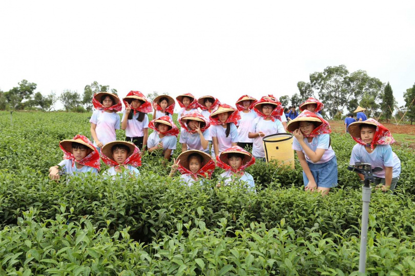 讓學生從專業職人的手中學習製茶工藝的精髓。（圖／茶之魔手提供）