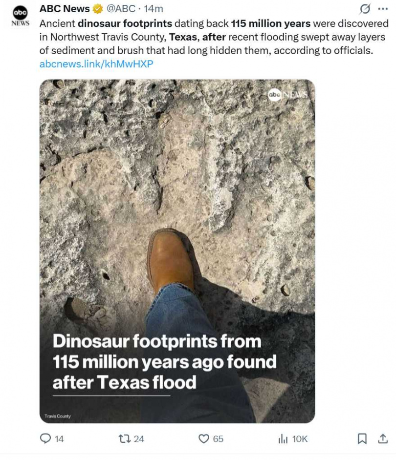 德州洪水沖刷沉積層後,首次露出保存超過1.1億年的高棘龍腳印,單個長達50公分。