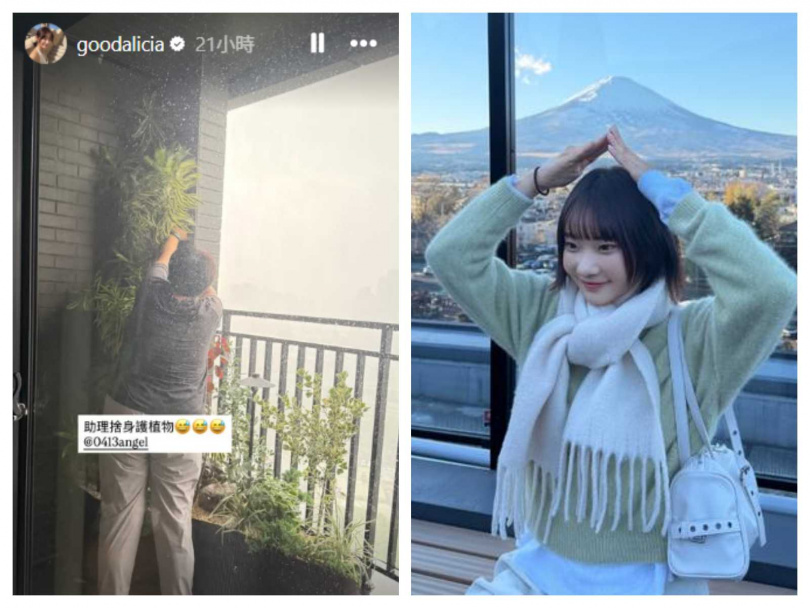 照片中助理冒著強風大雨伸手保護陽台植物,愛莉莎莎一句「趕快讓助理去肉身護植栽」意外掀起爭議。(圖/翻攝自IG,goodalicia)