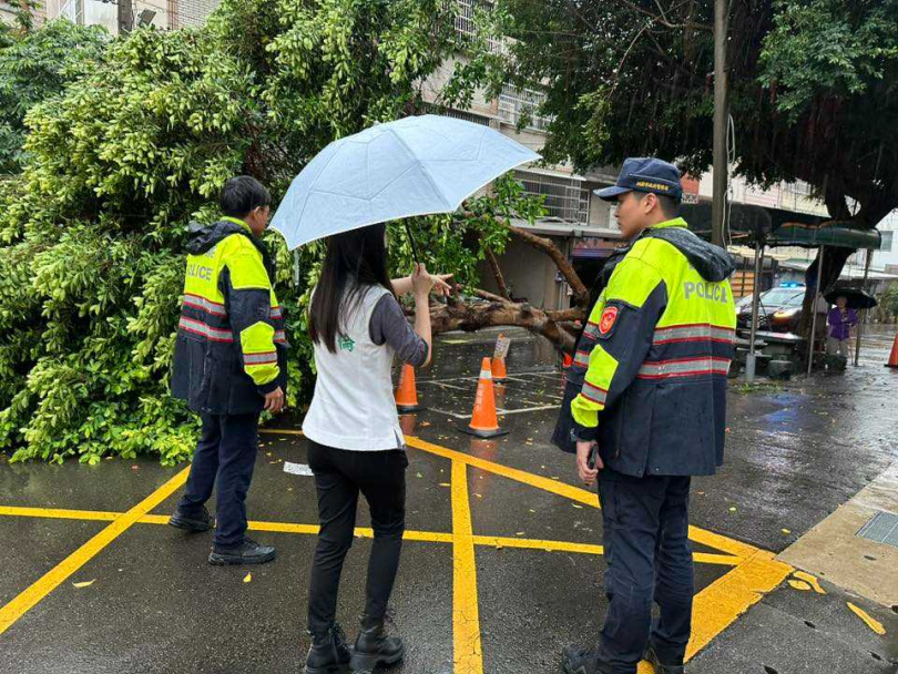 榕樹倒地，警方到場處理，呼籲民眾勿進入。（圖／陳雅倫臉書）