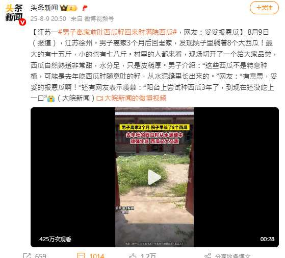 江蘇徐州一名男子離家3個月返家時，驚見院子水泥縫間長出8顆成熟西瓜，被網友稱為報恩瓜。（圖／取自微博）