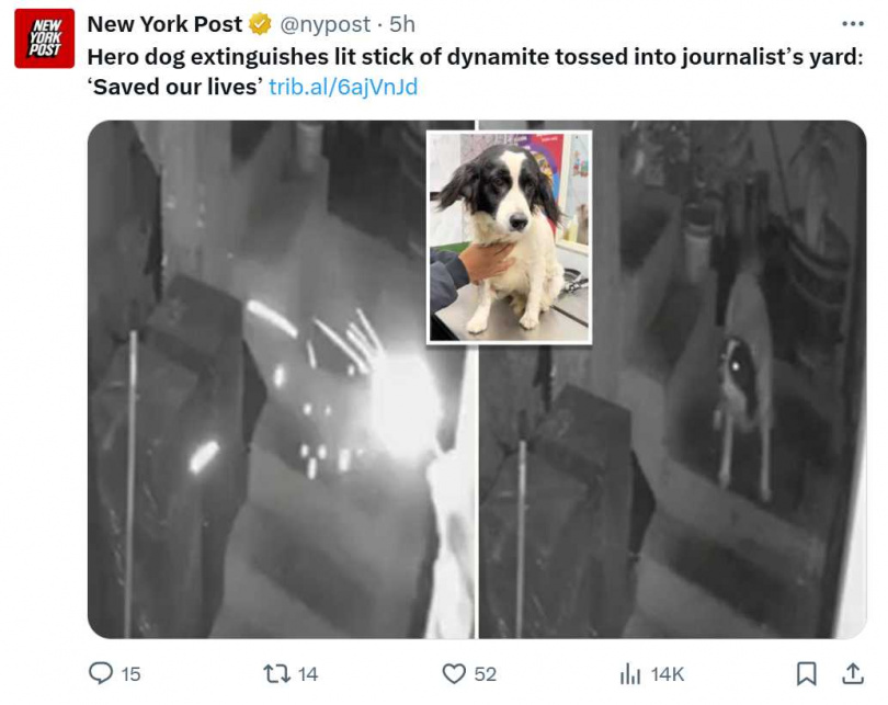 馬奇斯雖成功制止爆炸，卻因咬住炸藥引信導致聲帶受損。（圖／翻攝自X，@nypost ）