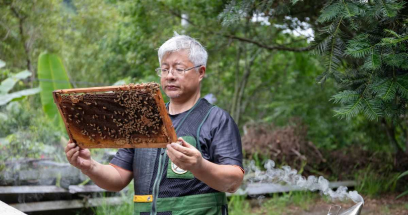 林下養蜂每日例行巡蜂工作。(圖/農業部林業及自然保育署嘉義分署提供)