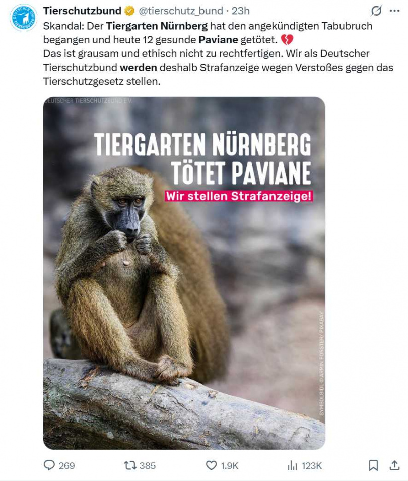 紐倫堡動物園長恩克（Dr. Dag Encke）強調，此決策為經多年專業討論與無法安置後的最終選擇。（圖／翻攝自X）