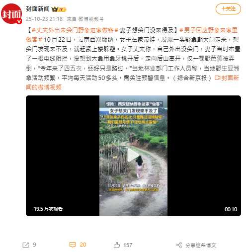 男子稱今年已有野象造訪四、五次，幸好每次都未造成損害。（圖／翻攝自微博，封面新聞）