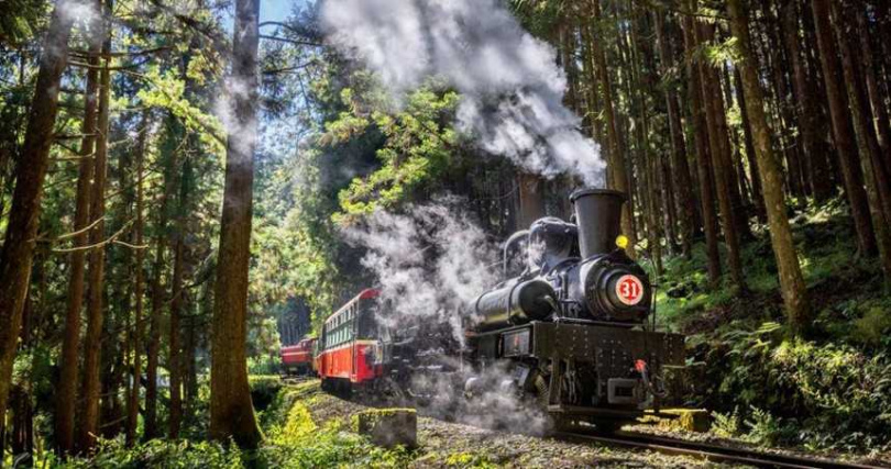 阿里山森林鐵路沿線串聯小火車、日出、森林步道等景點，每年吸引來自世界各地旅客造訪，成為台灣具代表性的觀光與文化地標。（圖／阿里山國家風景區管理處提供）