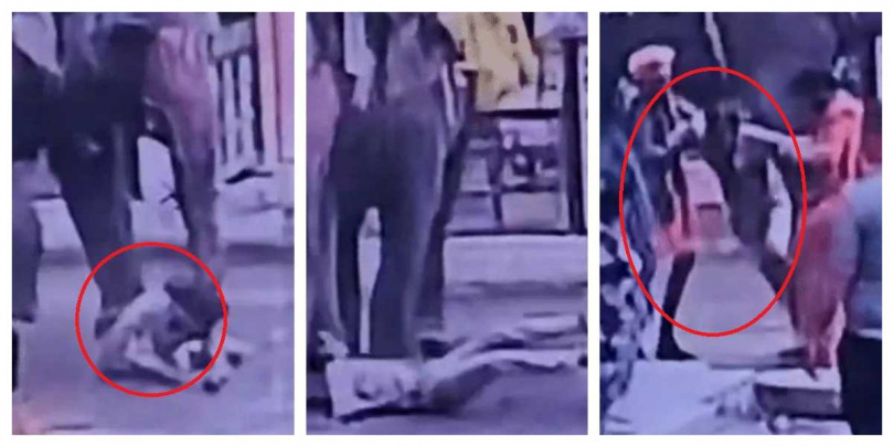 大象攻擊致死事件持續延燒，警方除追查馴象師責任，也釐清大象是否合法進入人口密集區。