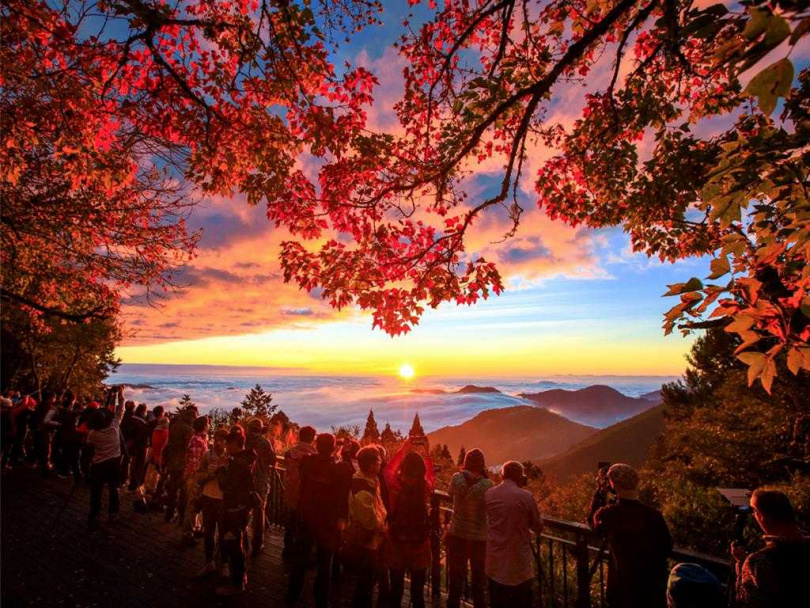 阿里山榮獲紐約時報評為2025年全球最值得造訪景點之一，圖為楓紅阿里山雲海。（圖／阿管處提供）