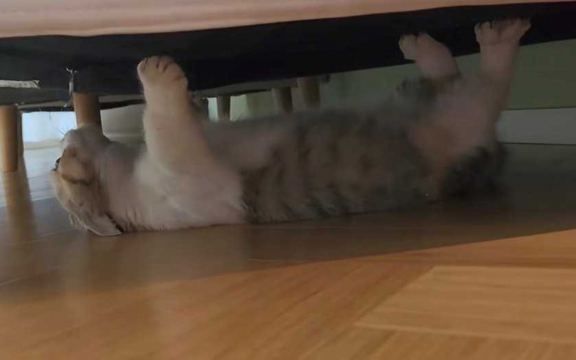 （圖／翻攝自小紅書）