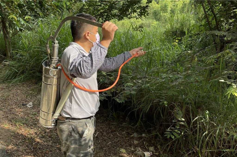 農業局委託廠商施用微生物製劑噴灑防治。(圖/翻攝畫面)