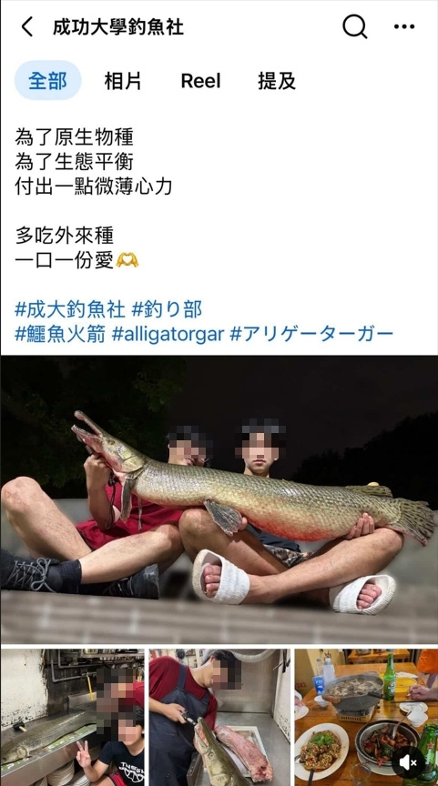 成大釣魚社的成員抓明星魚下鍋，引發全網眾怒。（翻攝自成大釣魚社臉書）
