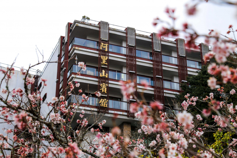 阿里山賓館外櫻花綻放，業者推出櫻花限定主題房、日式和服體驗。（圖／業者提供