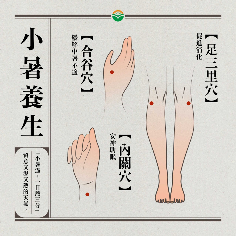 中醫師推薦穴道按摩助清心火、健脾胃。(圖/馬光中醫提供)