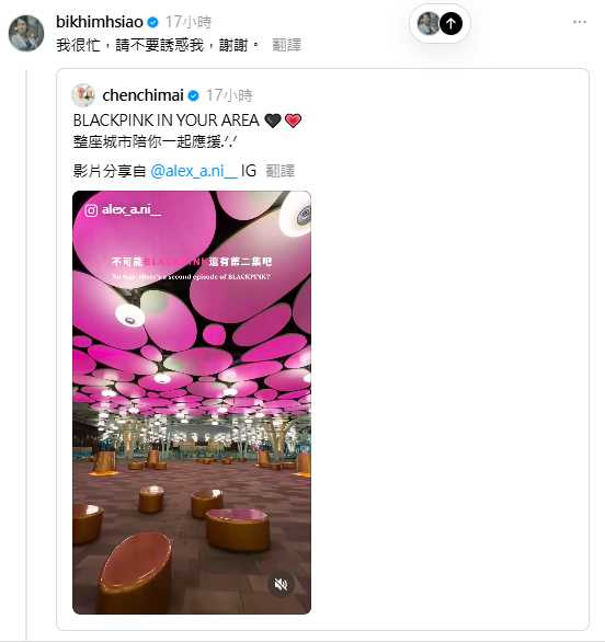副總統蕭美琴看到應援潮幽默回應「我很忙,請不要誘惑我」。(圖/翻攝自蕭美琴Threads)