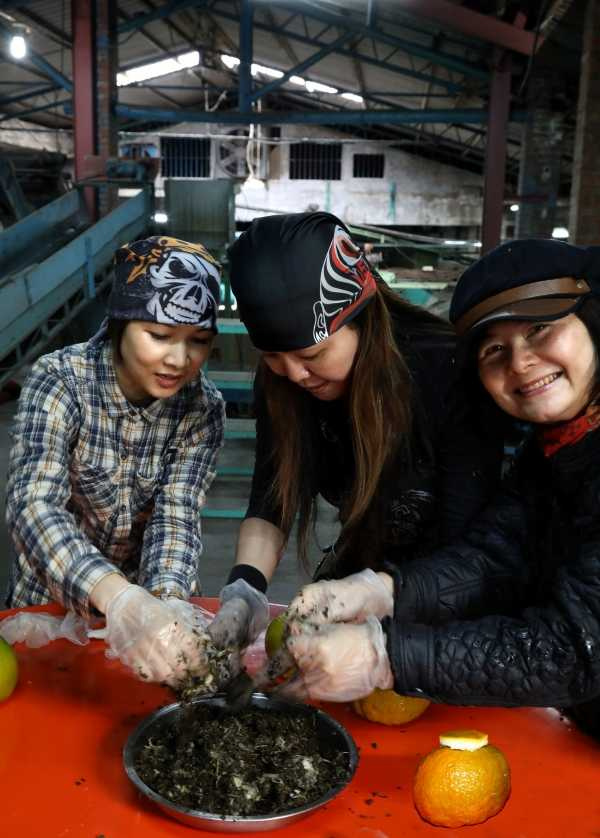 帥氣的哈雷女騎士將攪拌後的果肉與茶葉回填至虎頭柑塞滿。(圖/吳德亮攝)
