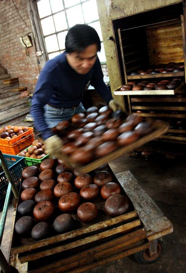 填滿茶葉的酸柑茶還需歷經多次蒸烤,顏色逐漸轉黑且硬度也不斷提高。(圖/吳德亮攝)