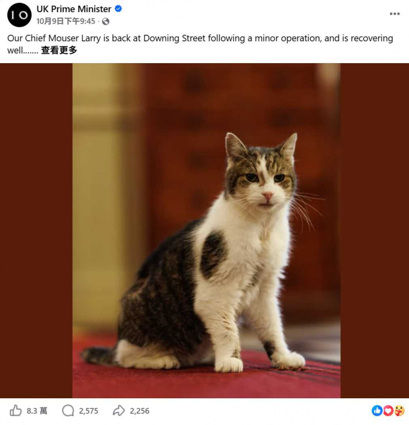高齡19歲的賴瑞恢復情況良好，回到首相官邸後已重新四處巡邏。（圖／翻攝自臉書，UK Prime Minister）