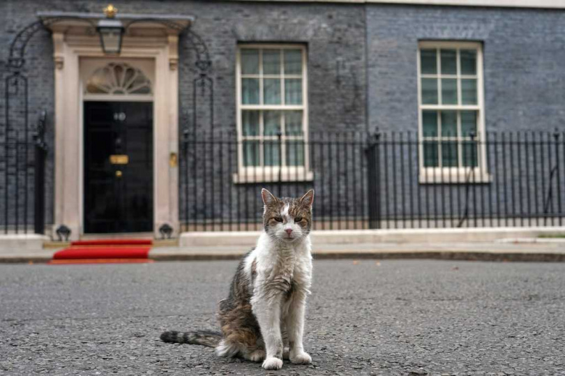 賴瑞2011年進駐唐寧街,15年來共歷經7位英國首相。