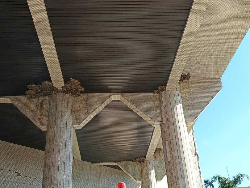 彰化縣政府第一行政大樓正門上方有超過10個「燕子窩群」，民眾走過都要小心翼翼，深怕「中獎」。（圖／報系資料照）