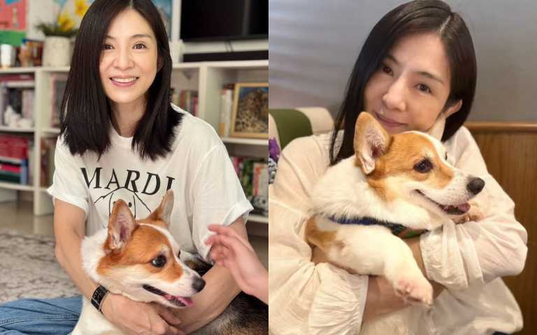 （圖／取自 楊采妮 小紅書）