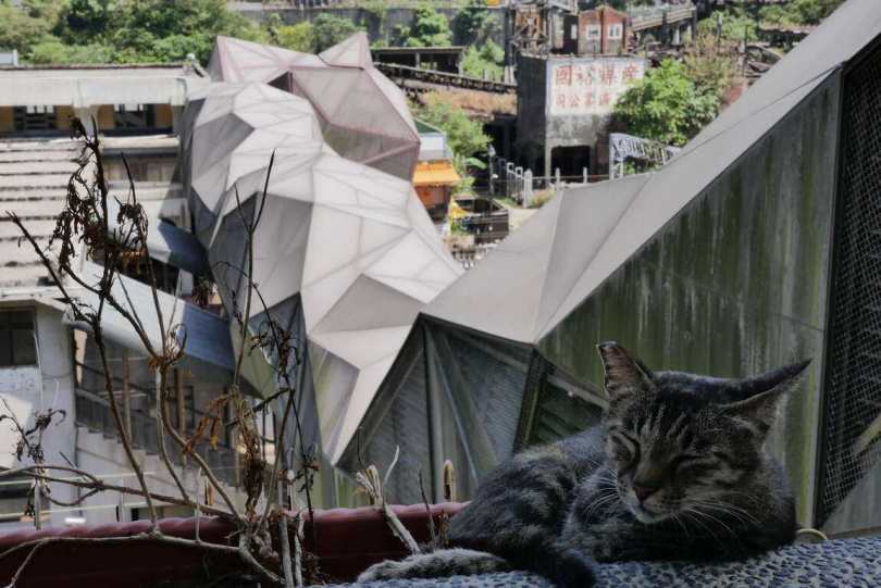 猴硐貓村全盛時期曾有超過200隻貓咪。（圖／翻攝自新北市觀光旅遊網）