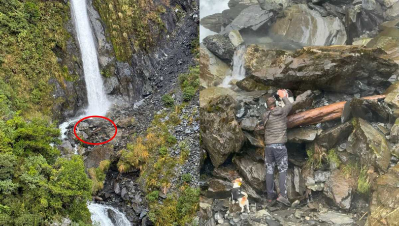 莫莉在瀑布底部附近等候主人潔西卡。（圖／翻攝自臉書／Precision Helicopters Ltd）